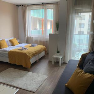 Appartement met een Slaapkamer
